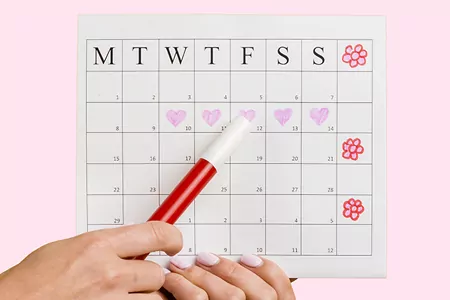 What Is My Ovulation Date?